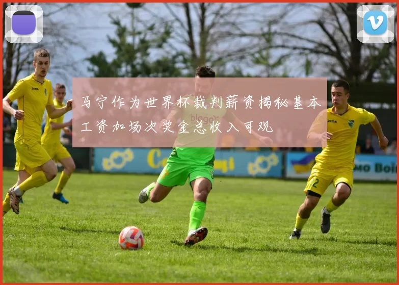 马宁作为世界杯裁判薪资揭秘基本工资加场次奖金总收入可观
