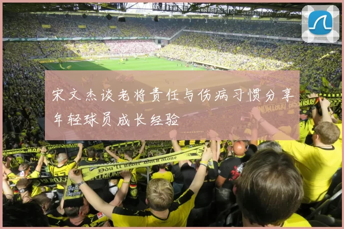 宋文杰谈老将责任与伤病习惯分享年轻球员成长经验